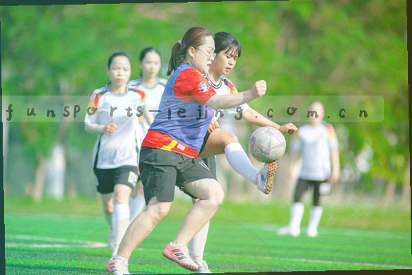 体育赛事统计数据图表